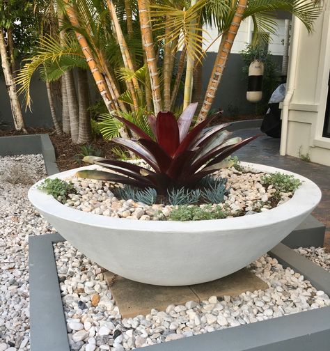 Large Bromeliad In Pot, Planter Bowl Ideas, Bromeliads In Pots, Bowl Planters Outdoor, Big Pots For Plants Ideas Outdoor, Large Pots In Landscaping, Large Bowl Planters, Large Yard Landscaping, Large Garden Planters