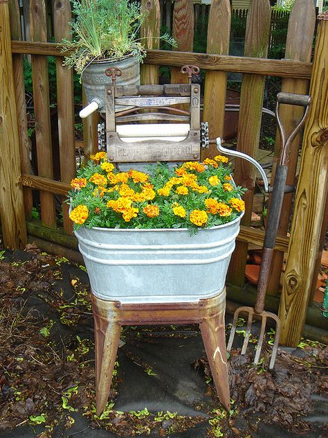 organic Marigolds | Flickr - Photo Sharing! Herb Garden Pots, Diy Garden Bed, Meteor Garden 2018, Garden Junk, Wash Tubs, Garden Architecture, Garden Containers, Covent Garden, Old Furniture