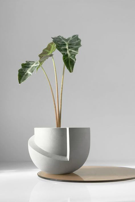 Plant Pot Design, Planter Design, 3d Modelle, House Plants Decor, Pot Designs, Deco Floral, Keramik Vase, Concrete Decor, Vase Design