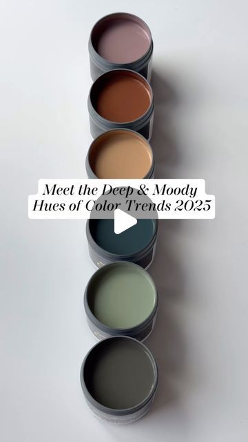 Benjamin Moore on Instagram: "Envelop your space in the moody hues from the #ColorTrends2025 palette, including the Color of the Year 2025, Cinnamon Slate 2113-40. Whether you choose a cider-like brown like Chowning’s Tan CW-195 or a jewel tone like Stained Glass CSP-685, you’ll be setting a dramatic and sophisticated tone throughout your home. Watch above to discover their beauty, then visit our website or a locally owned store to purchase a color sample. #BenjaminMoore #Paint #Home #InteriorDesign #ColoroftheYear" Benjamin Moore Paint Color Palettes, Interior Color Palette 2024, Color Of The Year 2024-2025, Earthy Living Room Color Scheme, Cinnamon Paint Colors, Cinnamon Slate Benjamin Moore, Moody Master Bed, Moody Color Palette Home, Earthy Paint Colors