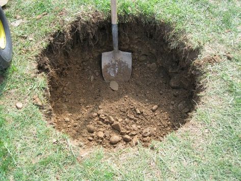 grass hole | hole-in-the-ground Brain Teasers Riddles, Nothing But Trouble, Digging Holes, Sanford And Son, Dug Up, Dream Symbols, Backyard Fun, Brain Teasers, Art Model