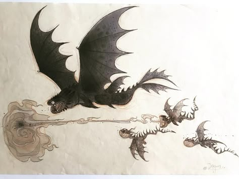 Nico Marlet (@nico.marlet) • Instagram photos and videos Nico Marlet, Httyd Concept Art, Viking Drawings, Book Of Dragons, Dragon Anatomy, Httyd Art, Train Dragon, Dragon Sketch, Httyd Dragons