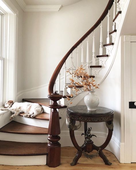 elegant staircase (@susanburnsdesign) on Instagram: “Our sweet  model Ginger from yesterday’s photo shoot with @robin_stubbert_photographer .. Georgian Cottage, French Kitchens, Autumn House, Stair Case, Foyer Decorating, Hallway Decor, Summer Home Decor, Style At Home, Staircase Design