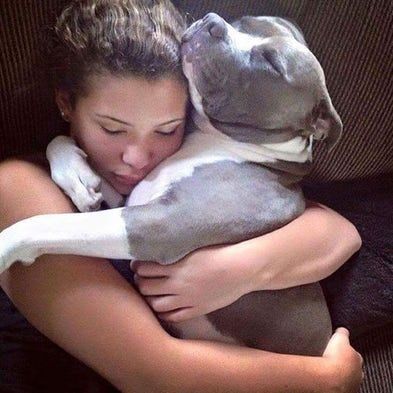 Dogs Hugging, Pitt Bull, Pit Bull Love, Pitbull Puppies, Bully Breeds, American Bully, Pit Bull Terrier, Pitbull Dog, Pitbull Terrier