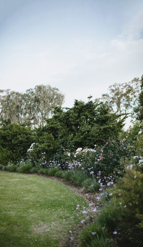 A Rambling Low-Maintenance Garden In Gin Gin, NSW Country Garden Design, Front Garden Design, Cottage Garden Design, Farmhouse Garden, Low Maintenance Garden, Garden Landscape Design, Garden Club, Perennial Garden, Garden Bed