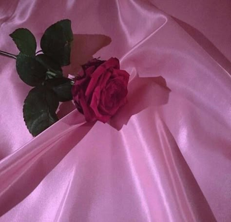 pinterest | hblackwell33 ♡ Coquette Lovecore, Briar Beauty, A Single Rose, Catty Noir, Aesthetic Roses, Rosé Aesthetic, Single Rose, Aesthetic Pics, Aesthetic Images