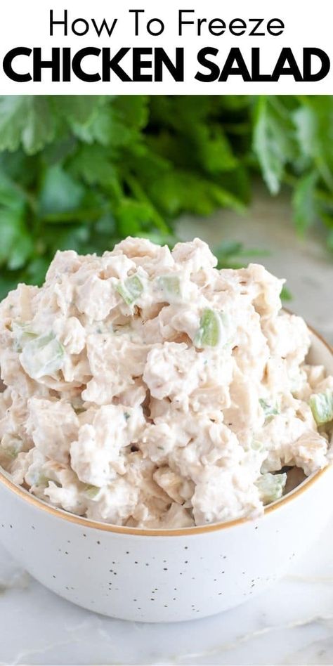 Can you freeze chicken salad? Yes and in this post we are sharing how and answering all your chicken salad questions. Can You Freeze Chicken Salad, Leftover Chicken Salad What To Do With, Chicken Salad Without Mayo, Costco Chicken Salad, Freeze Chicken, Chicken Egg Salad, Defrost Chicken, Freezing Chicken, Filling Salad Recipes