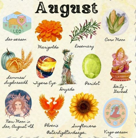 August Symbols, Flower For August, August Zodiac, Corn Moon, Bujo Layout, Sweet Magic, Hello August, Twenty Twenty, Month Of August