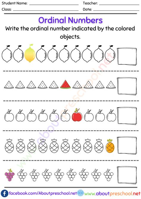 Kindergarten or Grade 1 Ordinal Numbers Worksheet Numbers Worksheet For Kindergarten, Number For Preschool, Ordinal Numbers Kindergarten, Number Kindergarten, Numbers Preschool Printables, Number Worksheets Kindergarten, Preschool Number Worksheets, Numbers Worksheet, Math Addition Worksheets