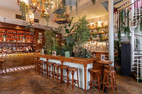 Quirky Bars in London, Mr Fogg's Bar House of Botanicals Fitrovia London Alcohol Gummy Bears, London Rooftop Bar, Bar House, London Rooftops, Bars In London, Floral Drink, Underground Tube, Grandmother House, Boozy Brunch