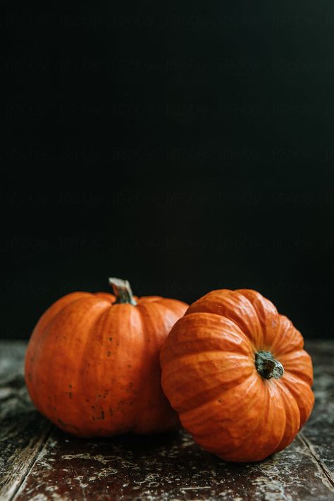 Pumpkin Photography, Artifact Art, Life Drawing Reference, Pumpkin Photos, Simple Object, Pumpkin Art, Still Life Drawing, Food Drawing, Art Inspiration Painting