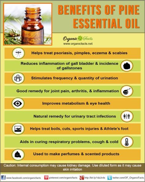 The numerous health benefits of pine essential oil have made it one of the most important essential oils used in aromatherapy. The health benefits of pine essential oil are attributed to its antibacterial, analgesic, diuretic, energizing, antiseptic, and aromatic properties. Pine Oil, Pine Essential Oil, Essential Oils Herbs, Oil For Hair, Essential Oil Benefits, Healing Oils, Oil Benefits, Aromatherapy Oils, Essential Oil Uses