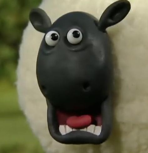 Sheep Meme, Timmy Time, Aardman Animations, Shaun The Sheep, The Sheep, Funny Dude, Funny Reaction Pictures, Cartoon Jokes, Cartoon Character Design