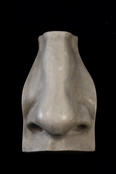 Clay Nose Sculpture, Nose Sculpture, Sculpture Reference, Drawing Models, Clay Model, Male Figure Drawing, Anatomy Sculpture, Plaster Cast, Face Drawing Reference