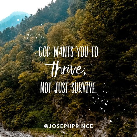 God wants you to thrive, not just survive. Survive Quotes, Stunning Quote, Joseph Prince, Give Me Jesus, Thank You Jesus, I Survived, Spiritual Life, Amazing Grace, Spiritual Inspiration