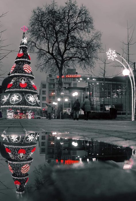 Bulgaria, Beautiful Places, Christmas Tree, Holidays, Christmas, Gifts