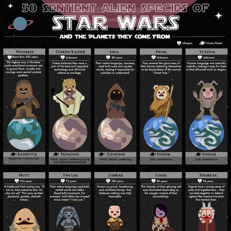 Planet Project, Star Wars Infographic, Tusken Raider, Star Wars Species, Star Wars Planets, Star Wars Day, Geek Crafts, Star Wars Concept Art, Cute Stars