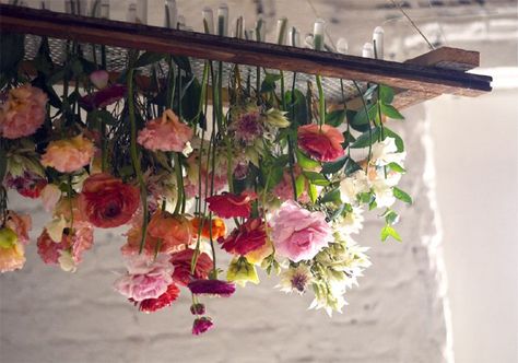 Tin Can Studios — DIY: HANGING FLORAL CHANDELIER Floral Chandelier Diy, Hanging Floral Chandelier, Hanging Flower Arrangements, Chandelier Diy, Diy Wedding Arch, Interior Boho, Flowers Hanging, Ideas Decoracion, نباتات منزلية