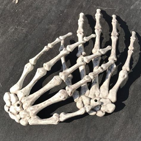 Fake Skeleton, Human Hand Bones, Life Size Skeleton, Haunted House Halloween Party, Halloween Skeleton Hand, Halloween Skeleton Decorations, Plastic Skeleton, Haunted House Decorations, Ghost House