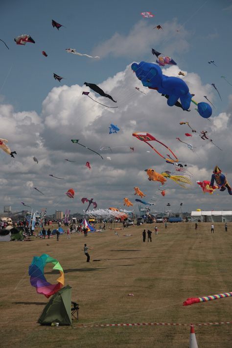 Kite Festival Patang Kite Background, Kite Festival Photography, Kite Flyer, Sustainability Projects, Go Fly A Kite, Kite Festival, Windy Weather, Kite Flying, Photoshop Backgrounds