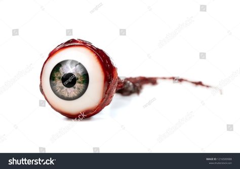 Ripped Out Eyeball, White Background Decoration, Halloween Prop, Background Decoration, Photography For Beginners, Halloween Props, Royalty Free Photos, New Pictures, Background Images