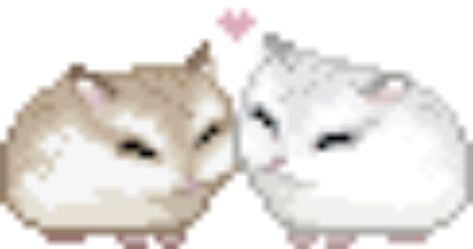 Me And Bae, Putao, Love My Boyfriend, I Love My Wife, Silly Cats, Naan, Just Girly Things, Love You More, Loving U