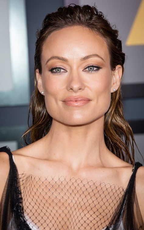 Olivia Wilde Eyes, Olivia Wilde Tron Legacy, Olivia Wilde Hair, Arch Brows, Full Brows, Winter Typ, Best Concealer, Dark Under Eye, Olivia Wilde