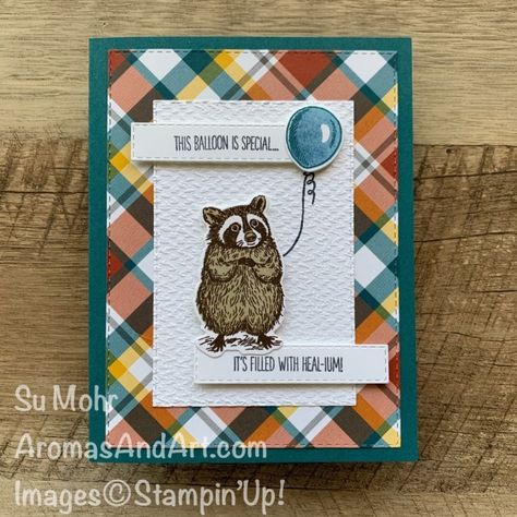 Stampin Up Get Well Cards Feel Better, Get Well Stampin Up Cards, Su Get Well Cards, Stampin Up Get Well Cards, Rocky Raccoon, Get Well Messages, Cardmaking Tutorials, Best Wishes Card, Kids Thanksgiving