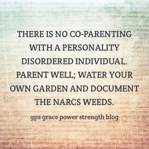 Co-parenting, Parallel Parenting, Parental Alienation, Narcissistic Parent, Step Parenting, Child Custody, Narcissistic Behavior, Truth Hurts, Trendy Quotes