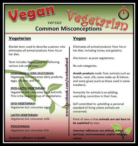 Vegetarian vs. Vegan 7 Effortless Vegan Dishes 1) Almond Butter and Banana sandwich on sprouted bread 2) Oatmeal with nuts and splash of soy milk 3) Fruit and nut (or soy milk) smoothie 4) Hummus with veggies and pita 5)A bowl of lentil or vegetable soup 6) Veggie and brown rice bowl with salsa 7) Stir fried veggies with whole grains/and or tofu Vegan Vs Vegetarian, Soy Milk Smoothie, Almond Butter And Banana, Vegetarian Facts, Sprouted Bread, Banana Butter, Banana Sandwich, Flexitarian Diet, How To Become Vegan