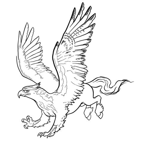 How to draw a Hippogryph Hypogriff Drawing, Mythical Creatures Drawings, Griffin Design, Graphic Novel Illustration, Easy Drawing Guides, Drawing Guides, Monster Drawing, Laser Ideas, Guided Drawing