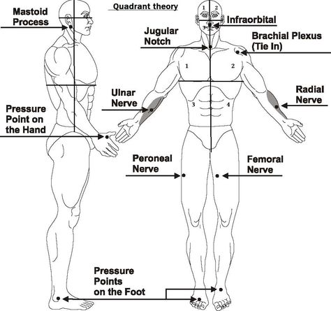 Pressure points (PP) or acupressure points are known by many different names throughout the world, and are predominantly utilised in Chinese medicine and the Five Elements theory (Wu Xing). The Five Elements theory is the concept that each area [...] Body Pressure Points, Defense Techniques, Self Defense Moves, Self Defense Tips, Self Defense Women, Self Defense Martial Arts, Self Defense Techniques, Pencak Silat, Martial Arts Techniques