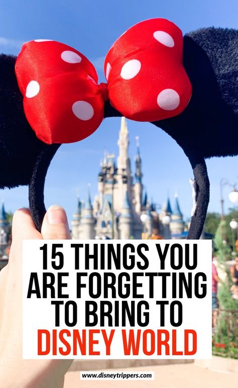 List Of Things To Bring To Disney, Disney Plane Outfit, Things To Wear To Disney World, Clothes To Wear To Disney World, Packing For Disney World In November, Family Outfits Disney World, Disneyworld Outfit February, How To Dress For Disney World, Disney Looks Outfits