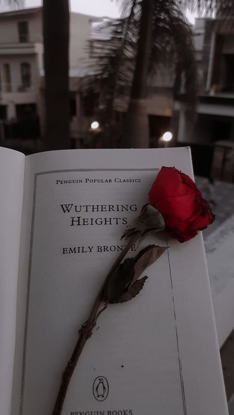 Wuthering Heights Aesthetic Wallpaper, Wuthering Heights Wallpaper, Withering Heights Book, Wuthering Heights Book Cover, Withering Heights, Ackley Bridge, Brontë Sisters, Bookworm Things, Book Edits