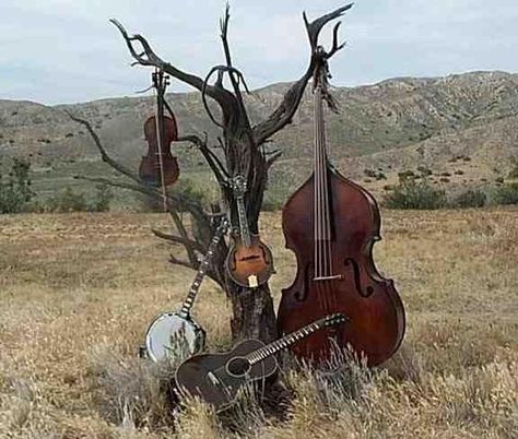 instruments for the rowdy psychobilly hoedown....also for a mellow bluegrass afternoon The Grass, Musical Instruments, Violin, Musical, Music