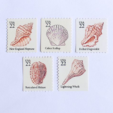 Ten 22 cent Seashell booklet (2 sets of 5 different Seashells)Issued: April 4, 1985 Scott catalog #: 2117-21 10 Mint, unused postage stamps with original gum as issued by the Post Office. These stamps are genuine and valid to use as postage for current mailing. Be sure to use enough total postage to meet the current postal rate for the item you are mailing. Also good to use for scrapbooking or displaying in a small picture frame. It's a miniature work of art. About this stamp:This booklet was th Poststamps Vintage Tattoo, Shells Aesthetics, Postage Stamp Display, Post Stamp Tattoo, Small Picture Frame, Hawaii Tattoos, Stamps Vintage, Postage Stamp Design, Small Picture Frames