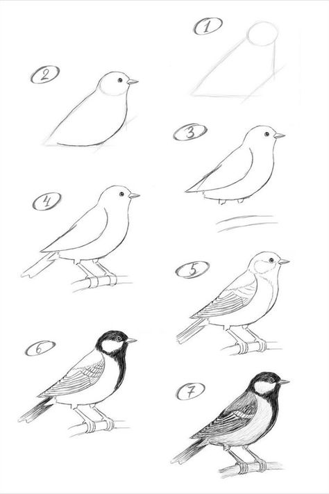 Cornspiration Animal Drawing Guide, How To Draw Birds Easy, Draw Birds Easy, Bird Doodle Art, Bird Drawings Easy, Simple Bird Drawing, Draw A Bird, Bird Doodle, Learn To Sketch