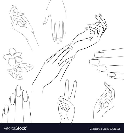 Elegant Hand Reference, Woman Hand Sketch, Elegant Hands Reference, Women Hands Drawing, Hand Gesture Drawing, Hand With Ring, Flower Manicure, Theatre Illustration, Sketch Model