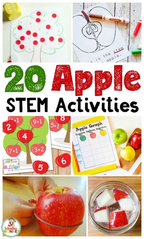 Looking for creative STEM activities? These apple STEM activities teach STEM skills while celebrating apples! Perfect for kindergarten STEM activities. #appleactivities #kidsactivities #thematicunit #stemactivities Apple Stem Activities, Kindergarten Stem Activities, Fall Stem Activities, Stem Activities Kindergarten, Kids Stem Activities, Stem Activities For Kids, Kindergarten Stem, Apple Math, Apple Preschool