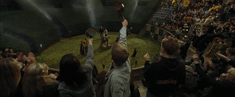 Harry Potter and the Goblet of Fire (2005) - Movie Screencaps.com Triwizard Tournament, The Goblet Of Fire, Goblet Of Fire, Harry Potter Movies, Wizarding World, Cinematography, Hogwarts, Harry Potter, Concert