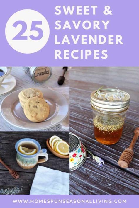 25 Sweet & Savory Lavender Recipes Lavender Food Recipes, Lavender Dessert Recipes, Recipes For Drinks, Lavender Dessert, Preserving Recipes, Baked Dessert, Lavender Recipes, Culinary Lavender, Garden Herbs