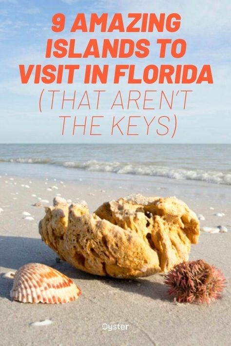 Florida Vacation Spots, Florida Travel Destinations, Gasparilla Island, Vacation List, Florida Attractions, Islands To Visit, Florida Adventures, Sanibel Island Florida, Vacation Florida