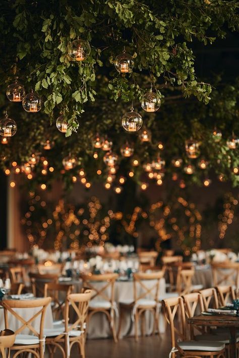 Simple Wedding Decorations Indoor, Wedding Decorations Indoor, Fairy Tail Wedding, Indoor Garden Wedding, Most Pinned, Wedding Ceiling, Forest Theme Wedding, Indoor Wedding Receptions, Decoration Evenementielle