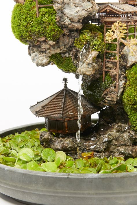 Cliff Bonsai tree, miniature landscape Bonsai Tree Zen Garden, Japanese Garden Terrarium, Mini Bonsai Garden, Japanese Miniature Garden, Japanese Terrarium, Bonsai Terrarium, Japanese Miniature, Japanese Bonsai Tree, Tree Miniature