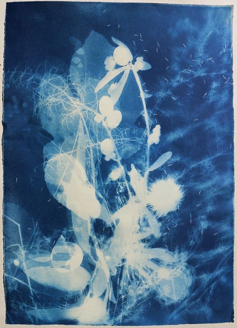 In the Shadow of Persephone - viii.   Cyanotype 38cm x 26cm . Lucie Winterson Image Bleu, Cyanotype Process, Printmaking Art, Italian Artist, Blue Print, Printmaking, Wall Coverings, Paper Art, Saatchi Art