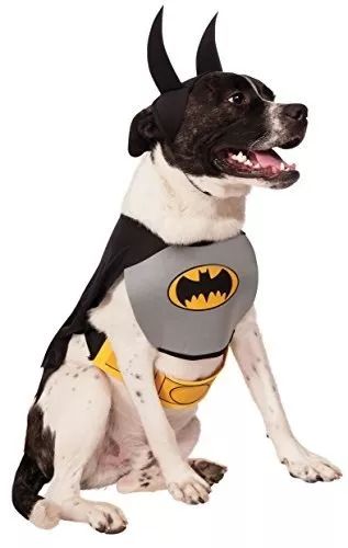 Batman Dog Costume, Batman And Robin Costumes, Batman Dog, Superhero Halloween Costumes, Batman & Robin, Superhero Halloween, Batman Costumes, Batman Costume, Yellow Belt