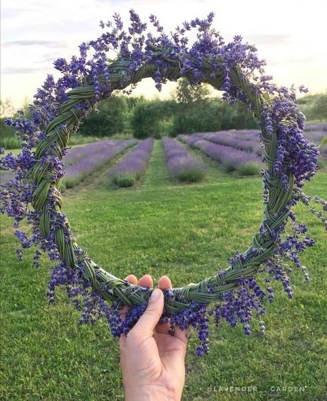 Purple Cottagecore, Lavender Cottage, Lavender Herb, Lavender Aesthetic, Lavender Bouquet, Lavender Garden, Lavender Tea, Lavender Farm, Lavender Plant