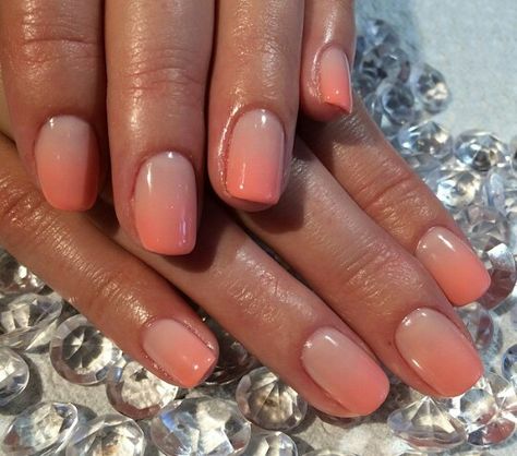 Salmon Ombre Nails, Coral Ombre Nails Summer Short, Milky Coral Nails, Peach Ombre Nails Short, Nails For Coral Dress, Simple Coral Nails, French Coral Nails, Peach And Pink Ombre Nails, Ombre Gel Manicure