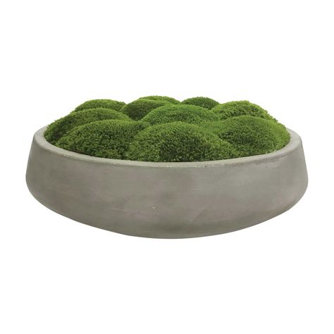 Cale Moss Centerpiece | Uttermost Rh Style, Moss Centerpiece, Moss Centerpieces, Uttermost Furniture, Upscale Furniture, Moss Garden, Preserved Moss, Mirrors Wall, Concrete Planters