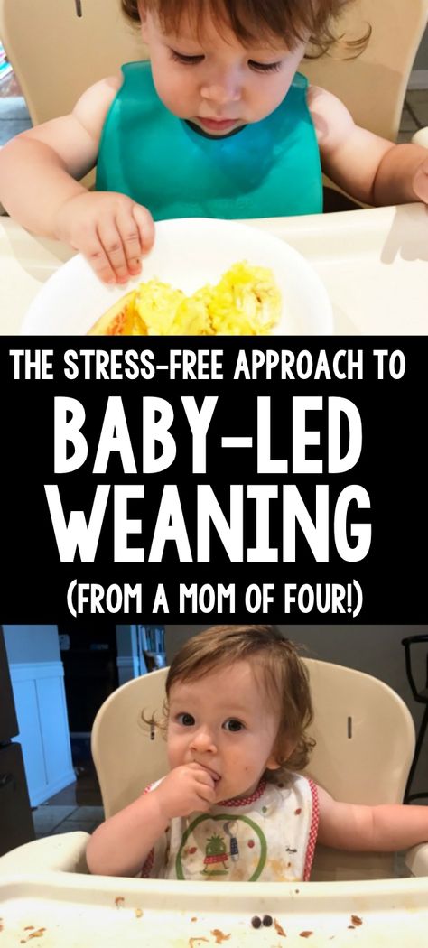 The Stress-Free Approach to Baby-Led Weaning Baby Food By Age, Baby Nutrition, Baby Led Weaning First Foods, Healthy Children, Baby Feeding Schedule, Starting Solids, Weaning Recipes, Introducing Solids, Newborn Hacks